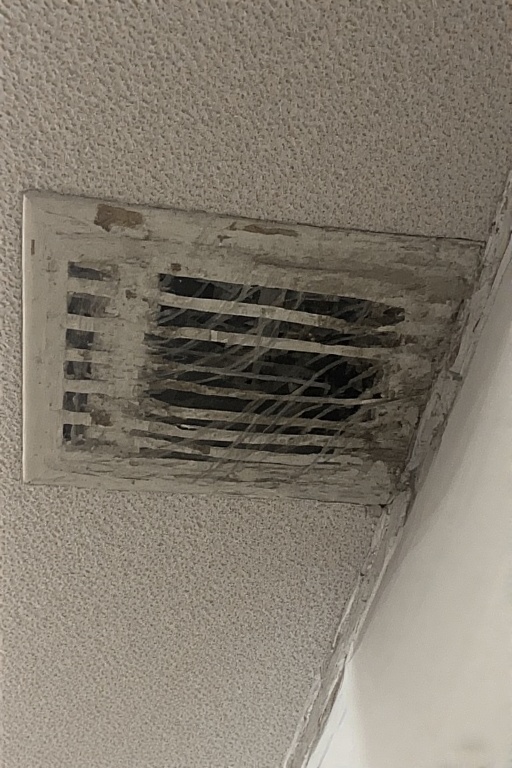 Air Duct Cleaning portrait